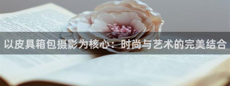 辉达怎么样
