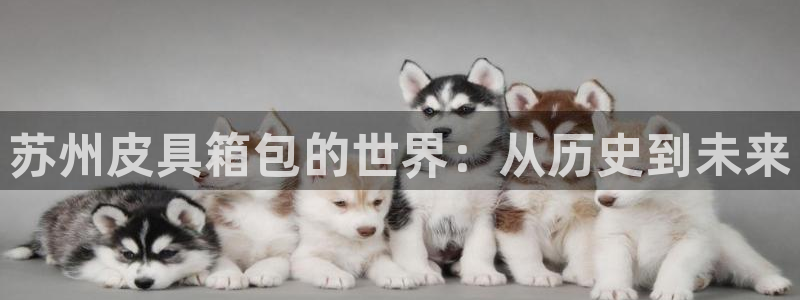 辉达娱乐最新消息新闻