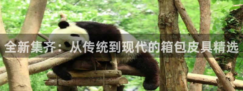 辉达平台注册资金多少