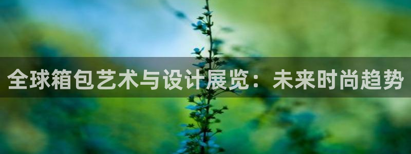辉达娱乐加q75775
