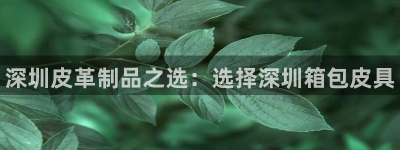 信誉辉达娱乐开户注册