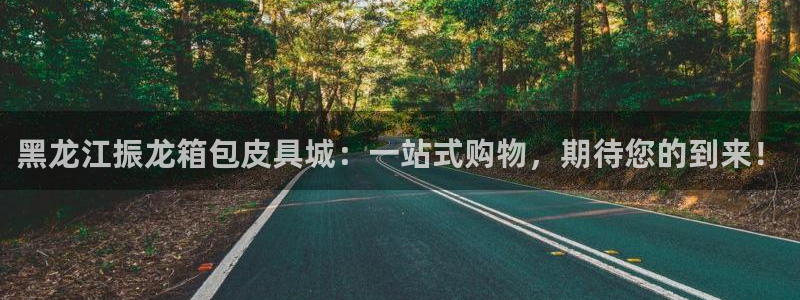 辉达娱乐福彩