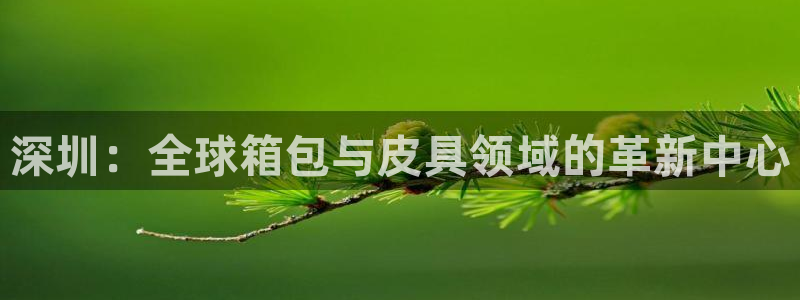 辉达娱乐体彩