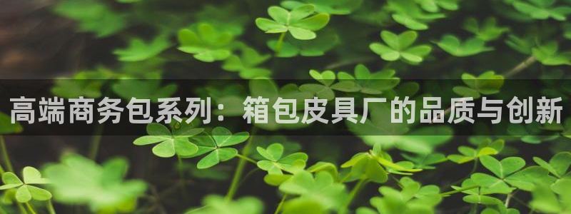 辉达娱乐招商