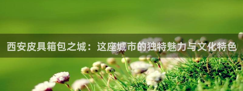 辉达娱乐总部