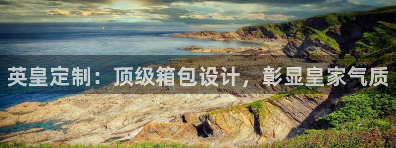 辉达娱乐网址
