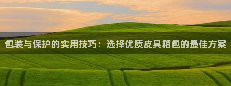 辉达娱乐计划软件