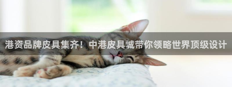 辉达娱乐己39444