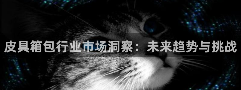 辉达娱乐官网