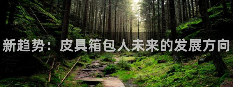 信誉辉达娱乐平台
