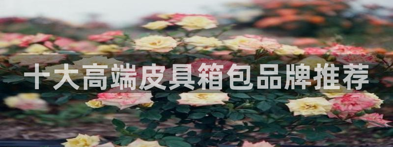 正规辉达娱乐在线游戏