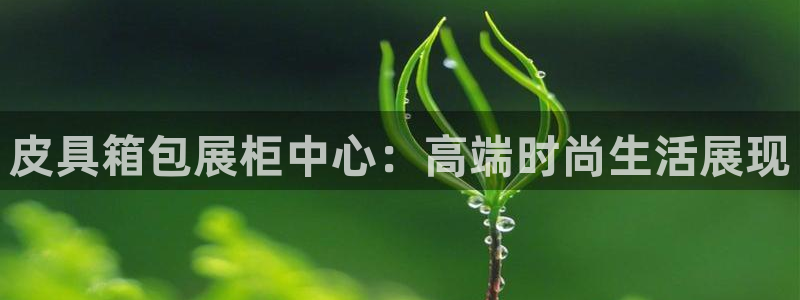 辉达娱乐重庆时时彩