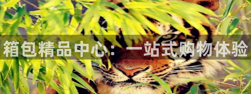 专业辉达娱乐官方网址