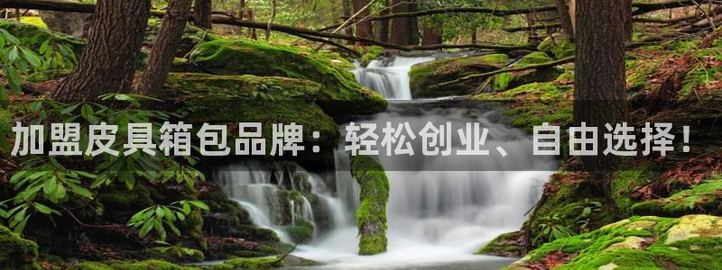 辉达平台注册官方网站入口