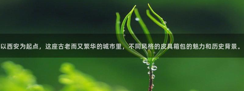 辉达娱乐属于什么档次