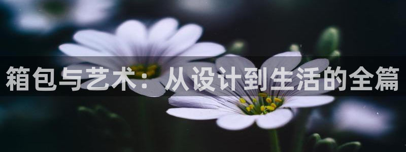 辉达娱乐官方网址