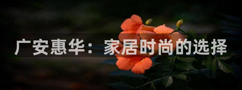 辉达娱乐己75505