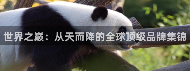 辉达娱乐彳75775