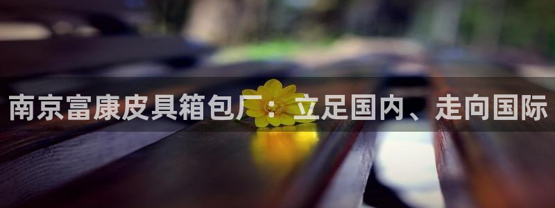 代理辉达娱乐平台