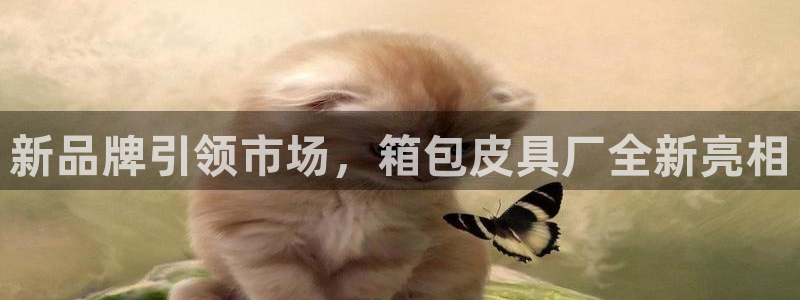 辉达娱乐己39444