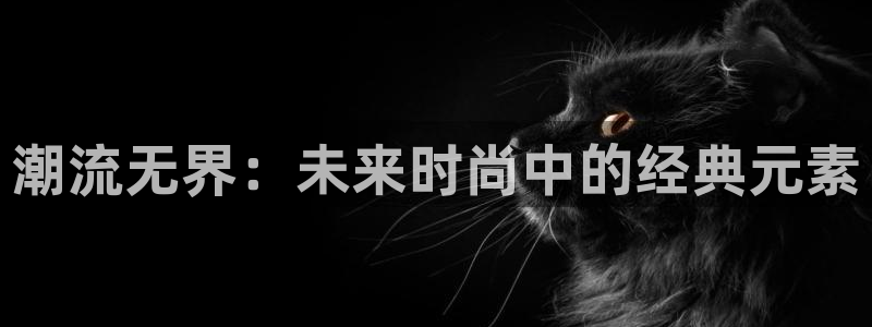 辉达娱乐正规吗