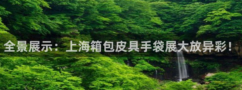 辉达平台官网下载