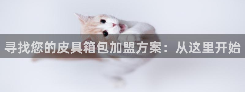 专业辉达娱乐官方网址