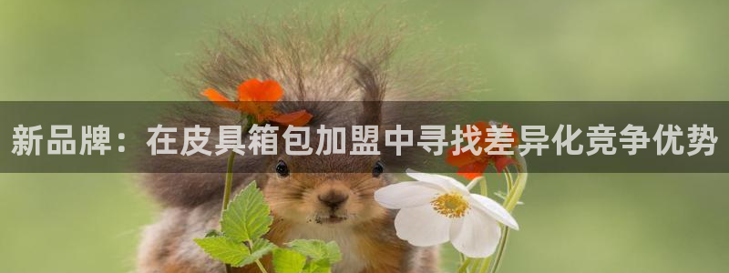 信誉辉达娱乐在线游戏