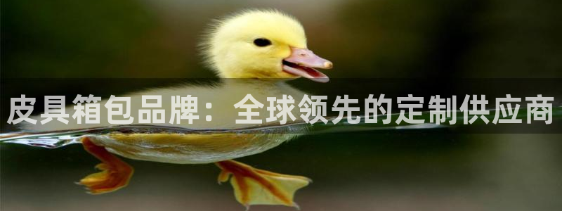 龙腾辉达电子娱乐