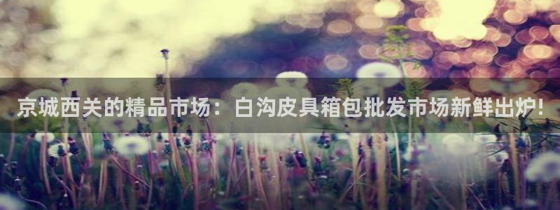 专业辉达娱乐在线游戏