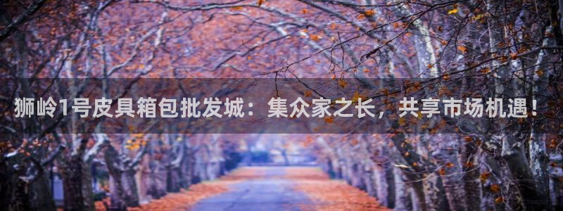 代理辉达娱乐官方网址