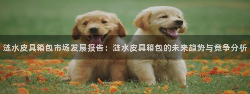 信誉辉达娱乐开户注册