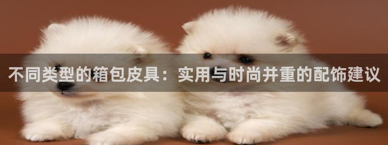 辉达娱乐丿39444