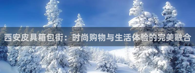 辉达娱乐彳75775