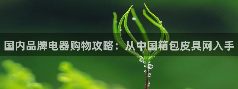 辉达平台官网下载