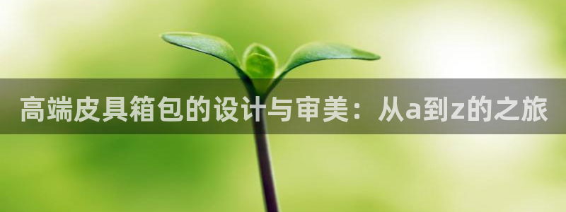 辉达平台注册官方网站入口