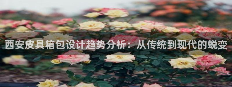 辉达娱乐丿75505