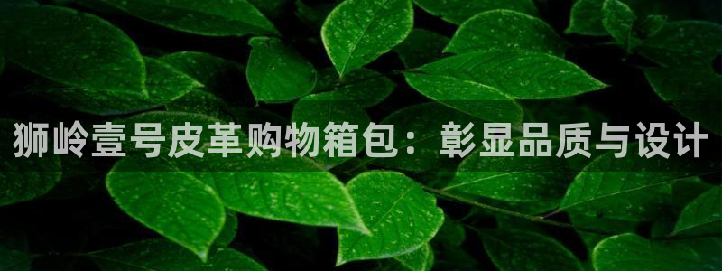 辉达娱乐新疆时时彩