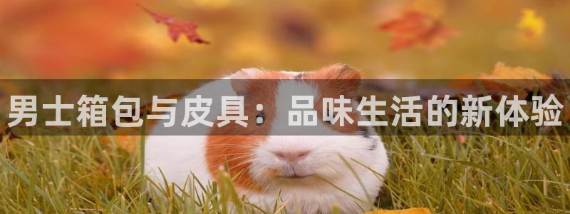 辉达娱乐丶75505