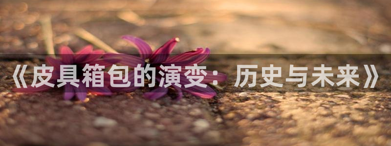 辉达平台注册