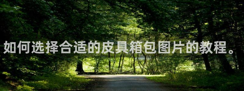 辉达娱乐官方网址