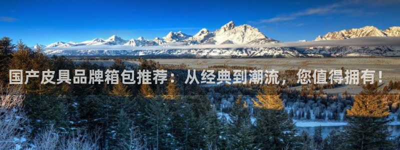 信誉辉达娱乐官方网址