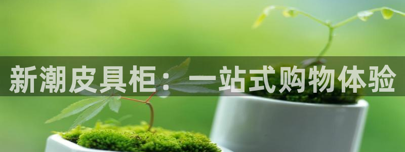 辉达娱乐丶39444