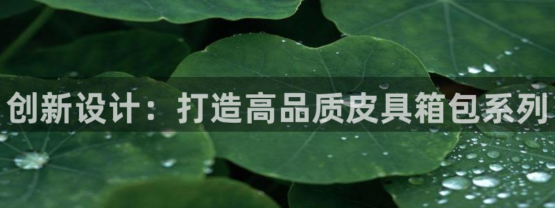 辉达平台注册资金多少