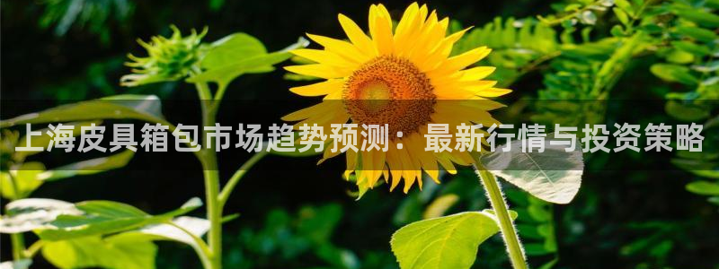 辉达平台官网电话