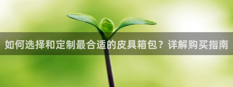 辉达娱乐最新现状