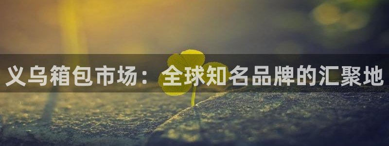 辉达娱乐最新消息新闻