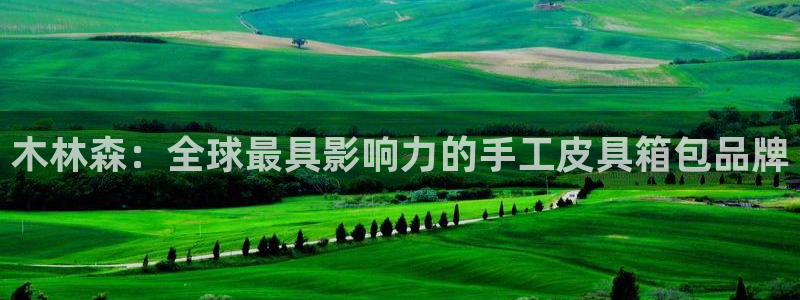 专业辉达娱乐在线游戏