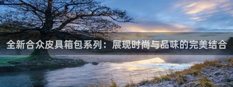 辉达集团官方网站