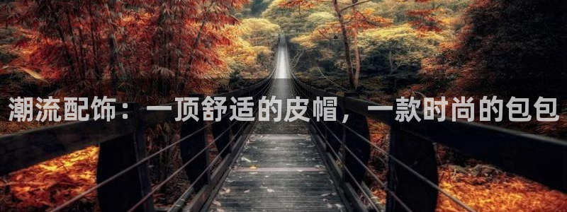 龙腾辉达电子娱乐